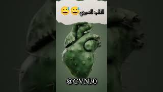 القلبالبارد💔القلبالغيور🤬او الحزين😞القلبالصبري😅😅تصميمي2024📸متابعه لايك اكسبلور ياعلي💬❔✍️🫶 [upl. by Fornof]