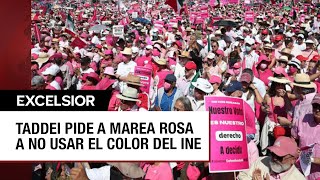 Taddei llama a oposición a no utilizar el color rosa del INE [upl. by Ennoved]