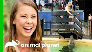 Bindi Irwin Is All About Continuing Steve Irwin’s Legacy [upl. by Naashom]