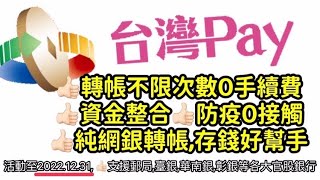 台灣Pay  台灣行動支付app  每月10w不限次數轉帳免手續費  純網銀存款小幫手  資金整合 [upl. by Blithe]