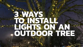 THREE WAYS TO INSTALL LIGHTS ON AN OUTDOOR TREE [upl. by Landre]