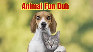 Animals Fun Dub  ShelVines [upl. by Gavrila223]