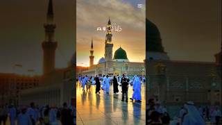 Maula Ya Salli Vaishali🕋🕋🕋🕋🕋🕋🕋🕋🕋 islamicvideo NaatMubarak [upl. by Erle662]