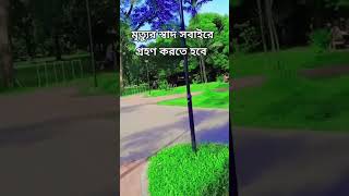 আল্লাহু [upl. by Neit]