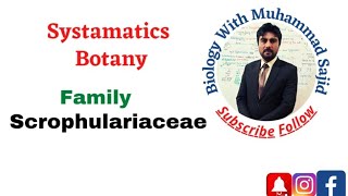 Family Scrophulariaceae [upl. by Haelem392]