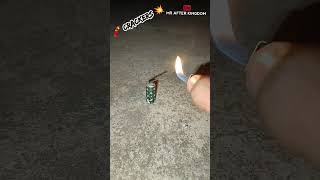 Mini VIP crackers crazy 🤣 crackers experiment crazy funny comedy tending viralvideo [upl. by Llerrud]