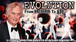 The Evolution Of Humans Video Animation From Bacteria To Ape  Narrated By Richard Dawkins [upl. by Yema]