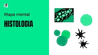 HISTOLOGIA UM SUPER MAPA MENTAL PARA O ENEM E VESTIBULARES [upl. by Nitsur]