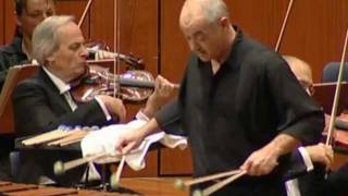 Ney Rosauro  Marimba Concerto No1 Mvmt2 Lamento performed by Roland Härdtner 2010 [upl. by Mace]