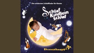 Schlaf Kindlein schlaf Schlaflied Instrumental [upl. by Sedruol]