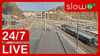 🔴 LIVE Trains at Oustecké nádraží  247 LIVE [upl. by Marquez]