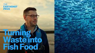 How to Stop Overfishing Using Algae as Fish Food [upl. by Yraht]