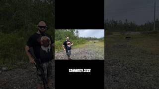 Tannerite 2lbs tannerites [upl. by Allemac]