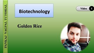 1 GOLDEN RICE Application of Recombinant DNA technology [upl. by Nedrah]