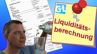 Liquiditätsplan ohne Excel Kenntnisse erstellen [upl. by Ranee]