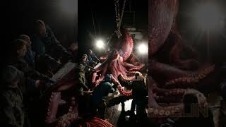 Giant Deep Sea Creature Caught by Fishermen🐙🦑🦀deepseafishing fishingexploration giantseacreature [upl. by Schwing]