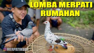 SERU BANGET NONTON LOMBA MERPATI RUMAHAN  CILACAP [upl. by Acacia156]