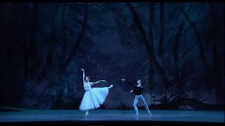 BOLSHOI BALLET LIVE  2017–18  „Giselle”  Polski zwiastun retransmisji [upl. by Wettam]