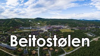 Beitostølen Summer 2020  Destination [upl. by Anatola40]