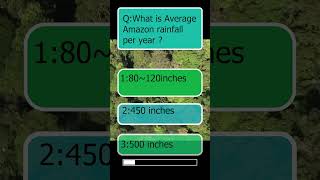 Amazon forest Rain fall wildelife nature adventuretravel strangeanimal animals facts [upl. by Anoik]