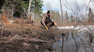 Things You Find When Beaver Trapping [upl. by Lalat]