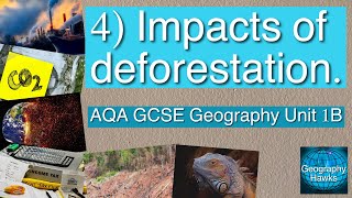 4 Impacts of deforestation  AQA GCSE Geography Unit 1B [upl. by Zeculon]