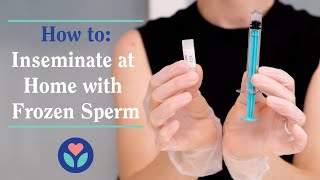 How to Inseminate at Home with Frozen Sperm and The Mosie Kit [upl. by Sirob]