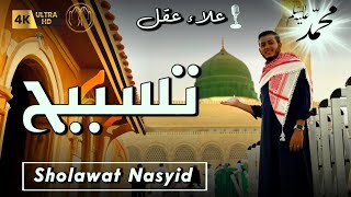 Dzikir Tasbih amp Sholawat Nasyid Merdu Menengkan Hati  Alaa Aqel [upl. by Nuahsed]