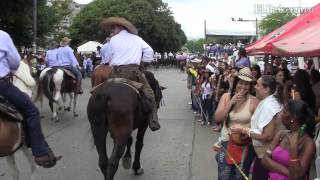 Así se vivió la cabalgata en la 55 Feria de Cali [upl. by Yengac]