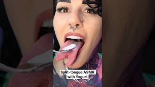 ASMR Splittongue w Yogurt asmreating asmreatingshow asmreatingsound asmreatingfood asmrfood [upl. by Alleira]