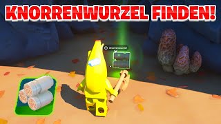 Knorrenwurzel finden in Fortnite Lego  Anleitung [upl. by Husain]