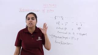 Class 12th – Representation of Vectors  Vector Algebra  Tutorials Point [upl. by Danit]