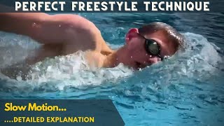 How to Swim Perfect Front Crawl Freestyle [upl. by Annawad]