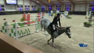 Karonia L 9 YO 145m LR 🌍 First round 2 Peelbergen 🇳🇱 [upl. by Enisaj]