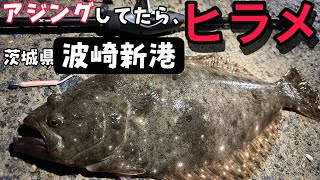 波崎新港でアジングしてたら、ヒラメ釣れた。茨城県 [upl. by Nospmoht]