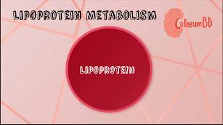 Lipoprotein • structure function amp classification Biochemistry [upl. by Krishna]