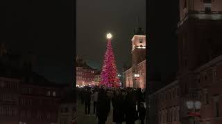 Christmas tree in Warsaw 2025 warsaw travel polandtourism poland [upl. by Asirac47]