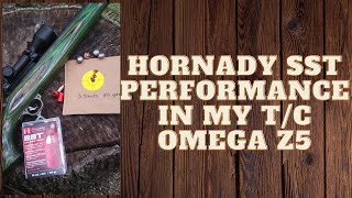 Hornady SST 250 grain Sabot Muzzleloader Performance [upl. by Daveta]