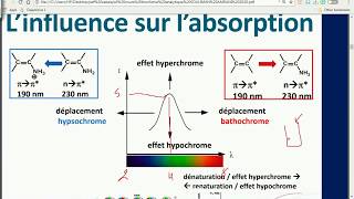 CHROMOPHORE ET AUXOPHORE SPECTROSCOPIE BIOCHIMIE ANALYTIQUE PARTIE 3 [upl. by Nnaylrebmik]