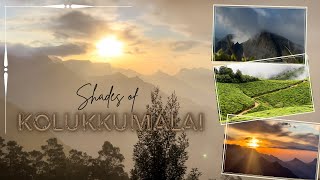 KOLUKKUMALAI Sunrise🌞 🌱  Highest tea plantation in the world🏔️ 4K Video [upl. by Atorod787]