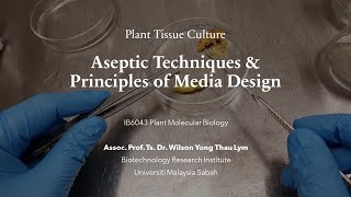 Plant Tissue Culture I Aseptic Techniques and Principles of Media Design [upl. by Eendyc]