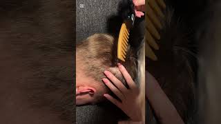 Scalp scratching asmr 😇 [upl. by Sells]