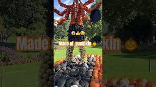 Pumpkin 🎃 kürbisveranstaltung blühendes barock ludwigsburg 😱👍🇩🇪 [upl. by Hesta]