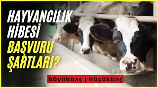 Hayvancılık Hibe ve Teşvik Başvuru Şartları Nelerdir  Çiftçi Kayıt Sitemi  Devlet Destekli [upl. by Idac]