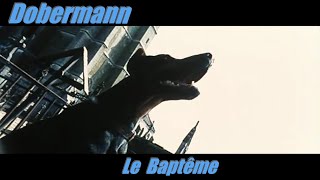 Dobermann  Le Baptême  GAMER CAGOULER [upl. by Berger]