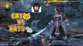 Usual Cat Vs Rats matches of SFA shadow fight 4 arena [upl. by Pepita]