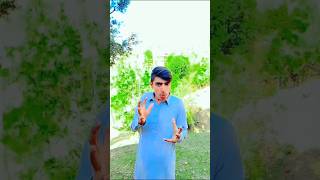 Tarbooz ke company funny video funnyvideo comedymemes [upl. by Guthrey]