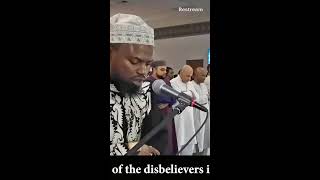 Best of Shaykh Okasha Kameny Quran Recitation [upl. by Elmira]