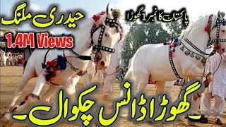 Horse Dance Jashn e Baharan Chakwal 🌃  Fakhr e Chakwal Haideri Malang Horse  Ghora Nach 2023 [upl. by Publia]