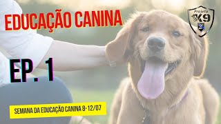 Educação Canina Ep 1 [upl. by Arval]